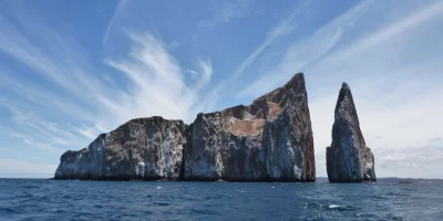 GAL Main Pic leon-dormido